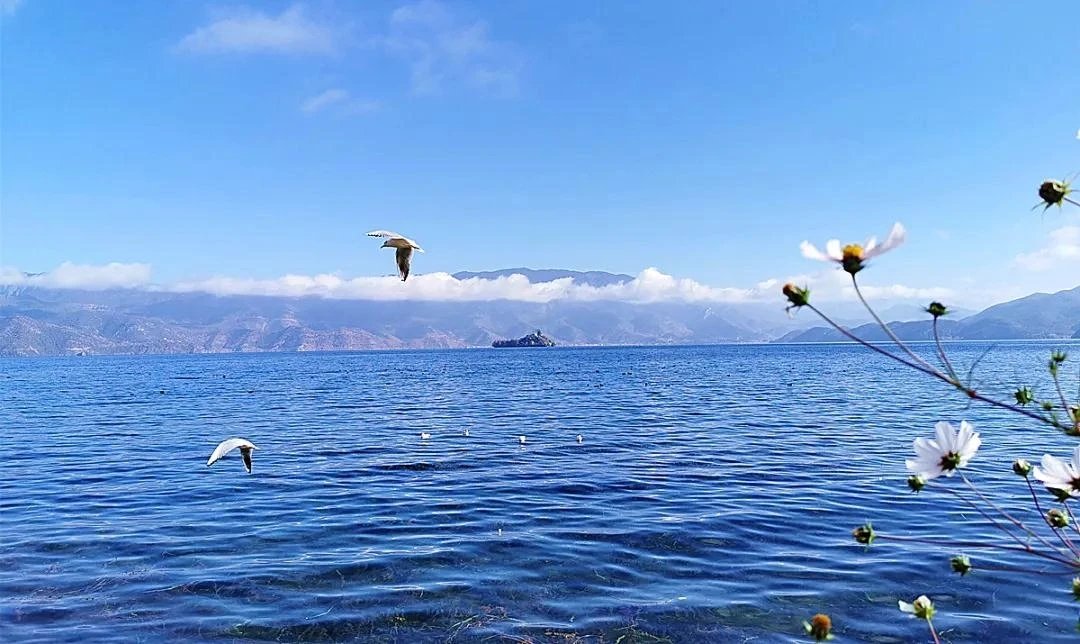 fzr4ekJAg3E6xKL's tweet photo. 秋日泸沽湖，水天一色，融为一体！ https://t.co/DxbgN6my85