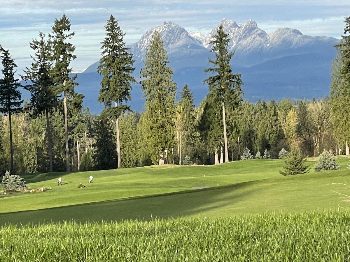 slimschadey tweet media