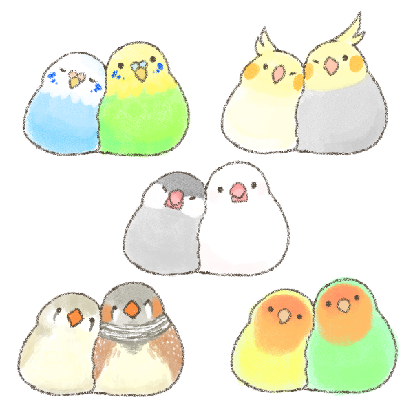 セキセイインコのtwitterイラスト検索結果