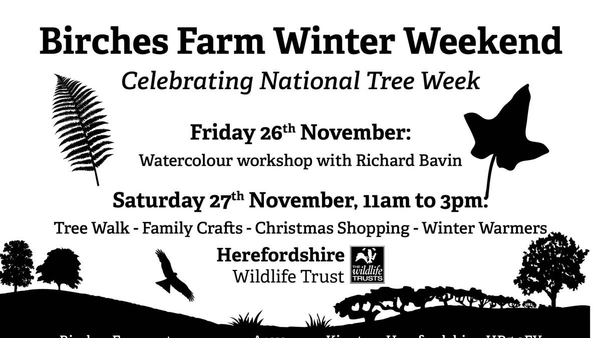 EVENT | Nov 26 &amp; 27

Visit the beautiful Birches Farm nature reserve for a winter walk, Christmas shopping, mulled apple juice and children’s nature crafts this weekend.

<a href="/HerefordshireWT/">Herefordshire Wildlife Trust</a> 

eatsleepliveherefordshire.co.uk/event-pro/birc…

#herefordhour #thingstodo #festivevibes