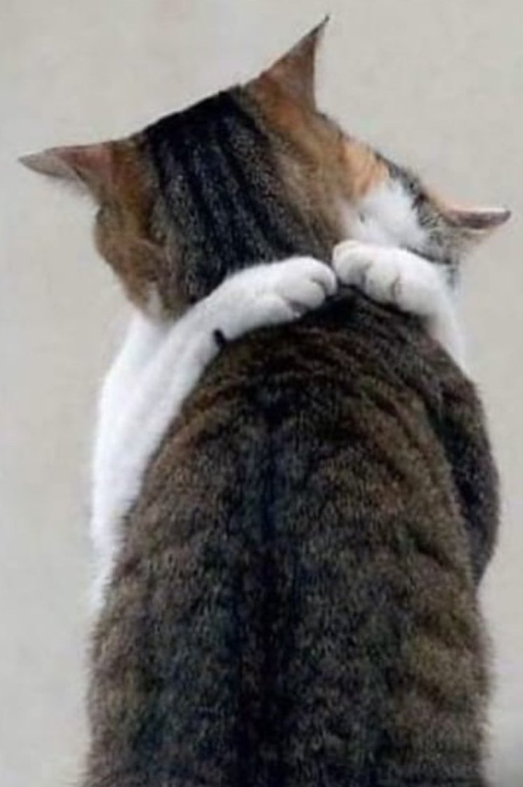 Ты мне нужен. Ты меня неи. Ты меня неи. Ты меня любишь. Molly если ты.