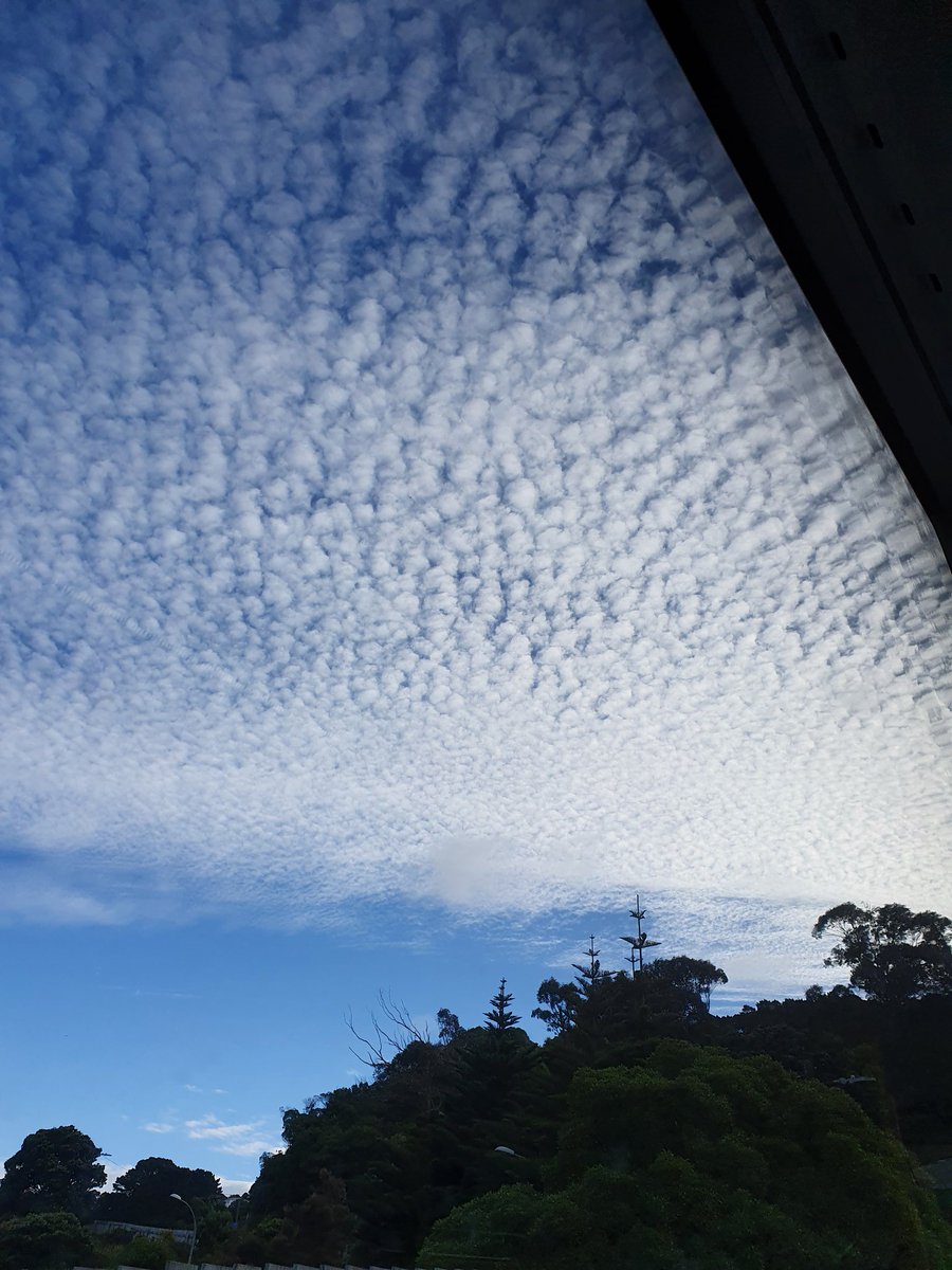 suba23's tweet photo. NgΔ tohu o te huarere. Reading the clouds and getting ready to virtually welcome everyone to Te Whanganui-a-Tara tomorrow. #NgaTohu2021 #BeyondHumanScales #ASLECANZ21 https://t.co/b9oNyXDXfs