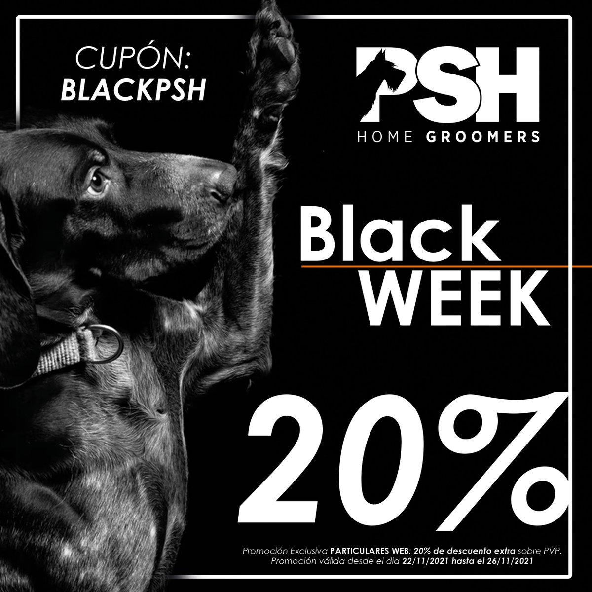 PSHmascotas's tweet photo. 🖤¡Ya llega la #BlackWeek de PSH! 🖤

Usando el cupón "BLACKPSH" en nuestra tienda online disponéis de un ✅20% de descuento en vuestras próximas compras y durante toda la semana! 🔥

https://t.co/mMdiPxq5NV ⬇️

#psh #blackfriday #black #vegan #mascotas #perros #vegano https://t.co/RX93kUEaQT