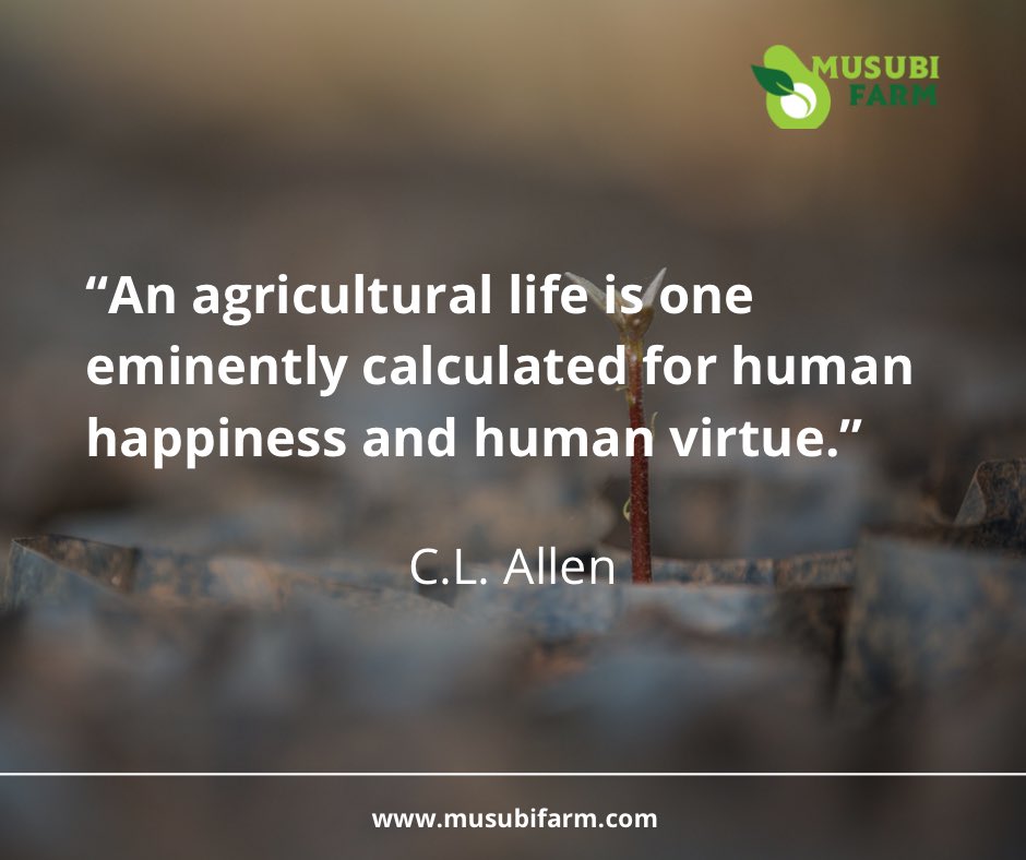 musubifarmug's tweet photo. โAn agricultural life is one eminently calculated for human happiness and human virtue.โ
C.L. Allen.
#MondayMotivation #MusubiFarm https://t.co/vKMGWOcwLo