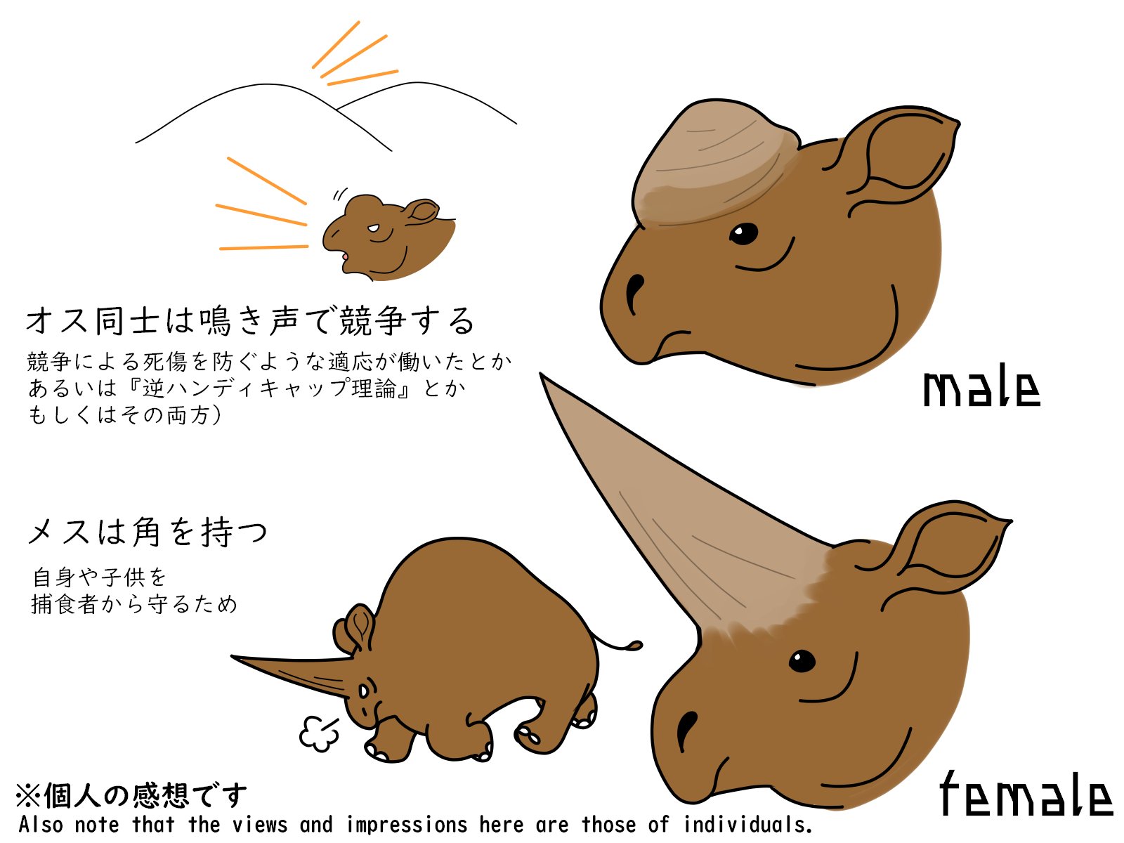 キヲテラウ Rt Justice Oak エラスモテリウム 性的二形だったら面白いなと思った落書き アフターマンのグロース的な T Co 1iswz4vzjd Twitter