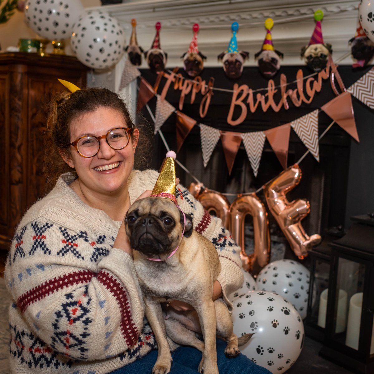 newmanvisuals's tweet photo. Holly Turned one year old yesterday. To celebrate we got her a birthday cake for dogs from @oliverscollar. Cause that's apparently something you can do.  

#pug #pugs #puglife #puglove #puglover #dog #dogs #doglife #doglover #doglovers  #dogcake #dogcakeshop #dogcakesfordogs https://t.co/ImwUPvTy9E