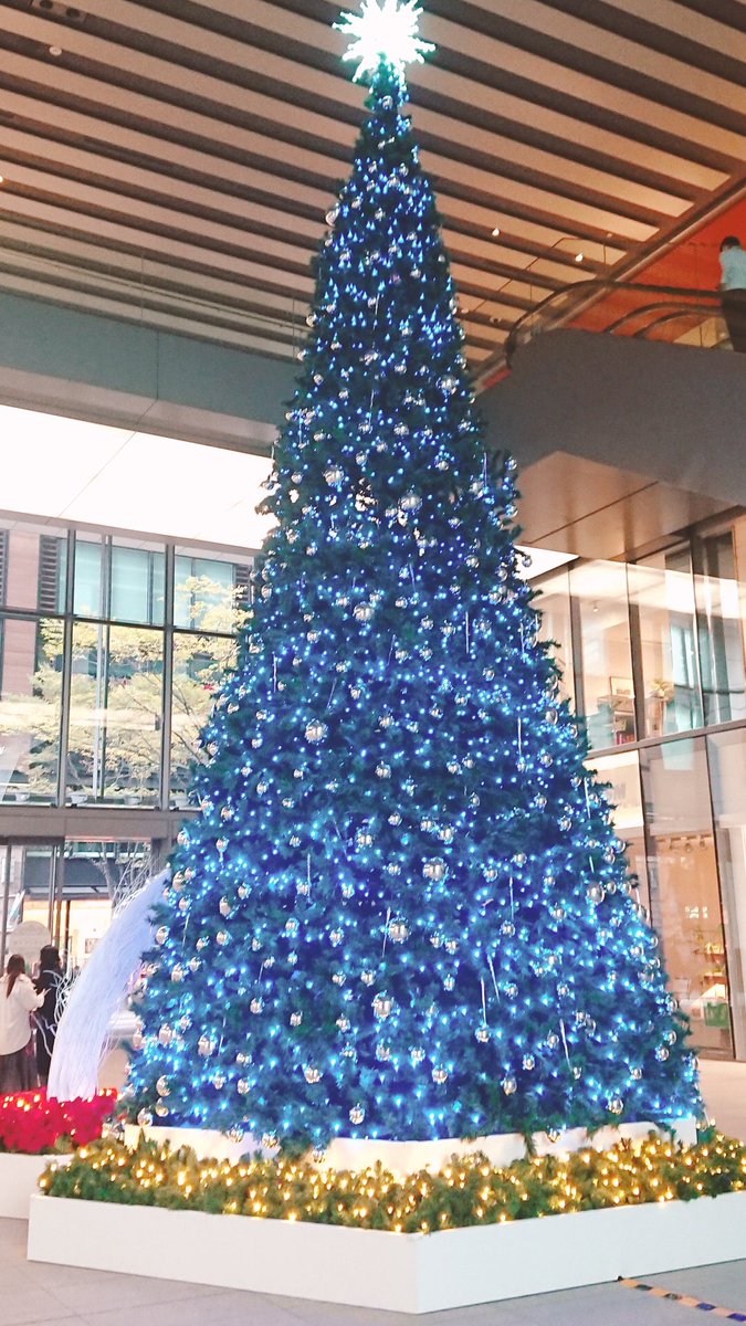 mrrn_msss's tweet photo. さんむい！
クリスマス近づいてきてわくわくする🎄✨🎅🎁💝
サンタさんきてほしい、、

#丸の内
#クリスマスツリー https://t.co/NtjUFSJEAh