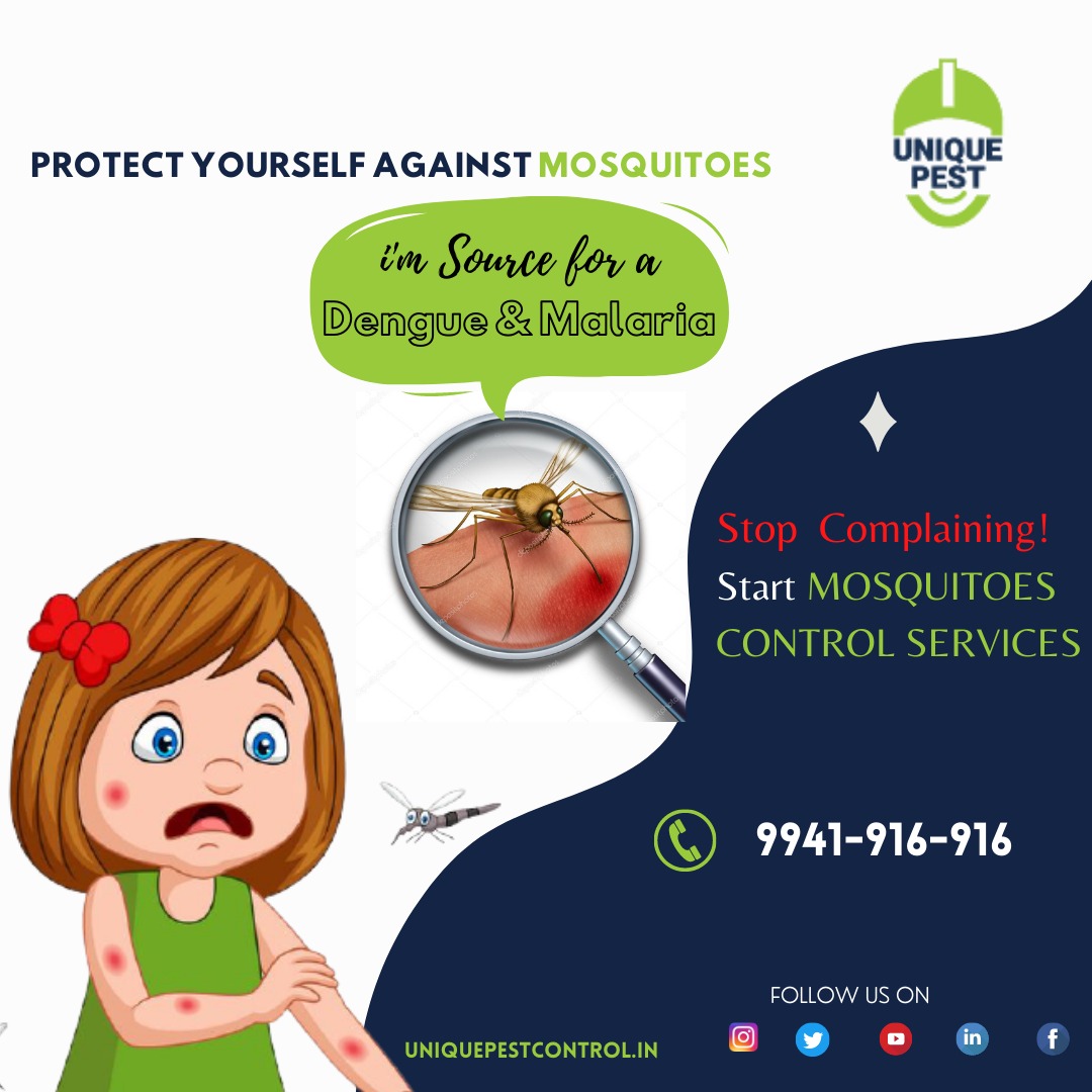 pest_unique's tweet photo. Unique Pest Management | Mosquitoes Control Services in Chennai
https://t.co/QRZAiIyS7O
#pestcontrol #pestservices #mosquitocontrol #denguefever #Dengue https://t.co/FCMPKVNGSG