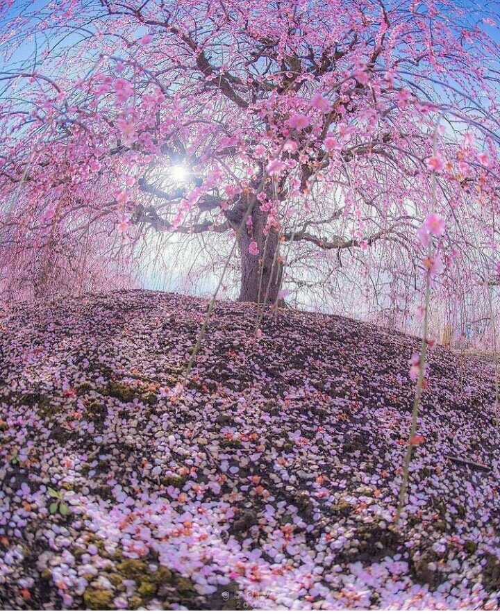 FaizaSmita's tweet photo. Doing business without advertising is like winking at a girl in the dark. You know what you are doing but nobody else does.
#love #followback #Twitterers #tweegram #photooftheday #20likes #amazing #smile #follow4follow #like4like #look #igers #picoftheday #followme #bestoftheday https://t.co/JfIjGp4tLN