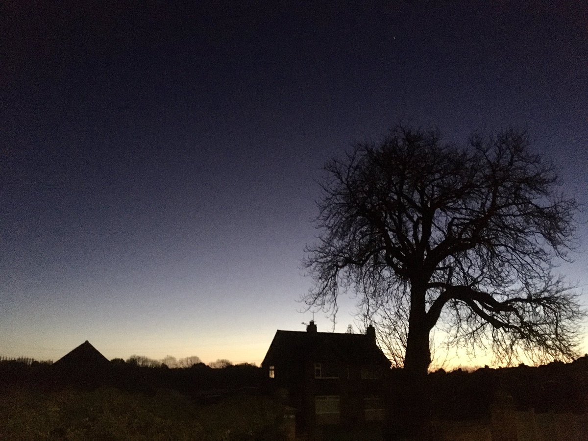 FloralRainbowAW's tweet photo. Bitterly cold north easterly wind on our #morningwalk #frozenears Blackbirds bickering, clear star-filled sky, just growing lighter on the eastern horizon 🍂❄️🥾🧤 https://t.co/RxKIeKCpB6
