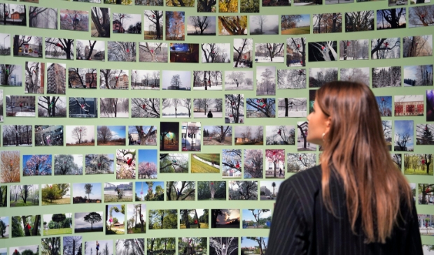 Museum Het Valkhof verlengt succesvolle tentoonstelling over bedreigde natuur -  brugnijmegen.nl/nieuws/algemee…