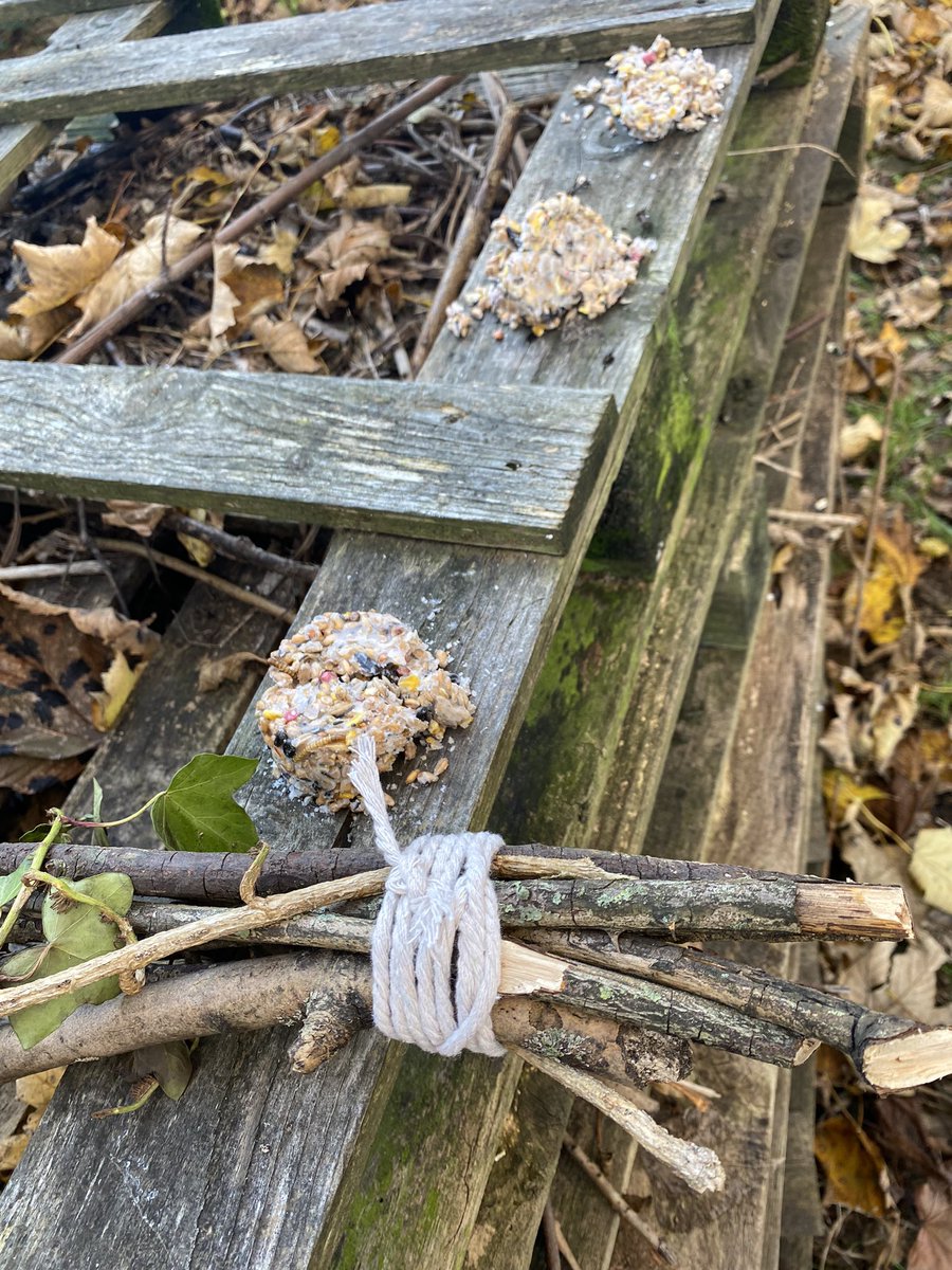 ValewoodPrimary's tweet photo. #WorldChildrensDay2021 at ♥️VPS:
Team 2 👫 enjoyed the lovely, autumn weather and their collaborations and creativity are second to none. Brilliant #LeadTheLearning 👫! Who doesn’t love climbing a tree and making seed bombs for our 🐦 ?! 🌳 #ForestSchool https://t.co/TlxJ6AOsy0