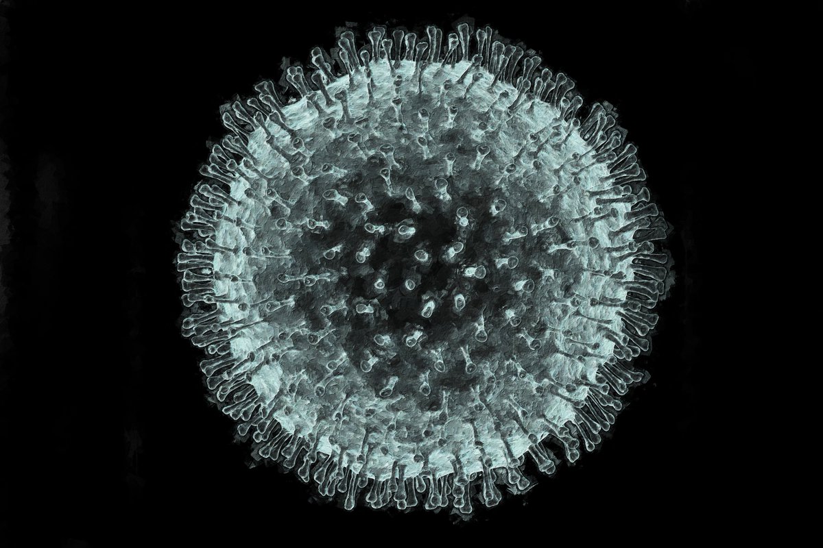 CORONAVIRUS oil art already here!🔥🔥🔥

Price from 0.001 ETH 😎

Link opensea.io/assets/0x495f9…