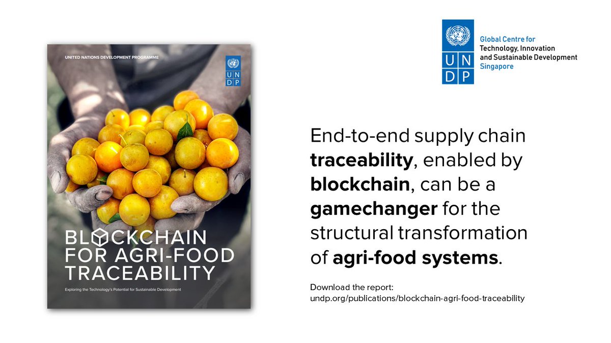 riadmeddeb's tweet photo. Q: Can #blockchain help address some of the most complex issues plaguing global Agri-#FoodSystems 🌱 like extreme #poverty, #deforestation, and #HumanRightsViolations?

A: Yes!

👉🏽 Find out how in this 🆕 publication: https://t.co/m3h2rRhano 
#UNDP https://t.co/YtFUFQN4k0