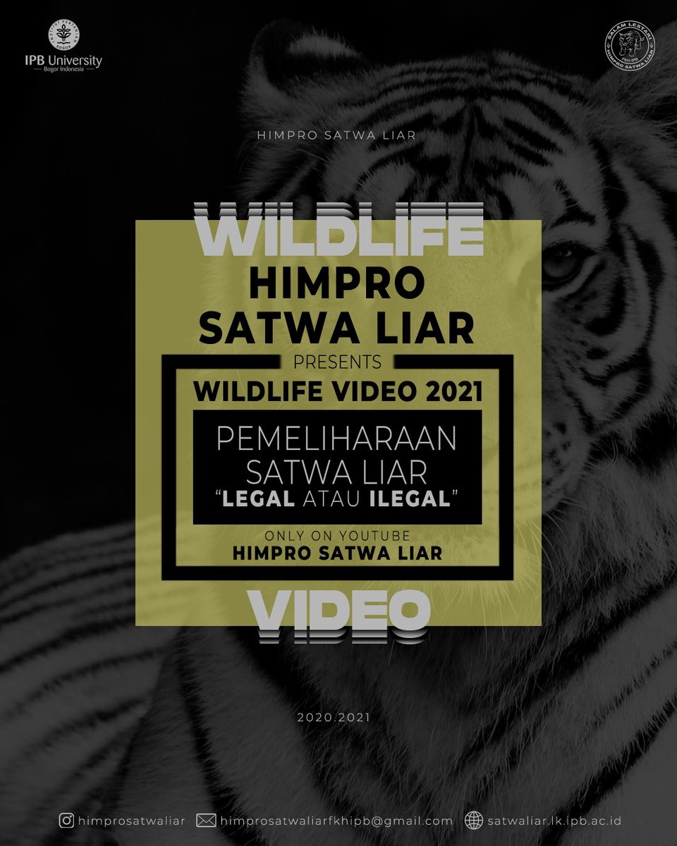 HIMPRO SATWALIAR tweet media