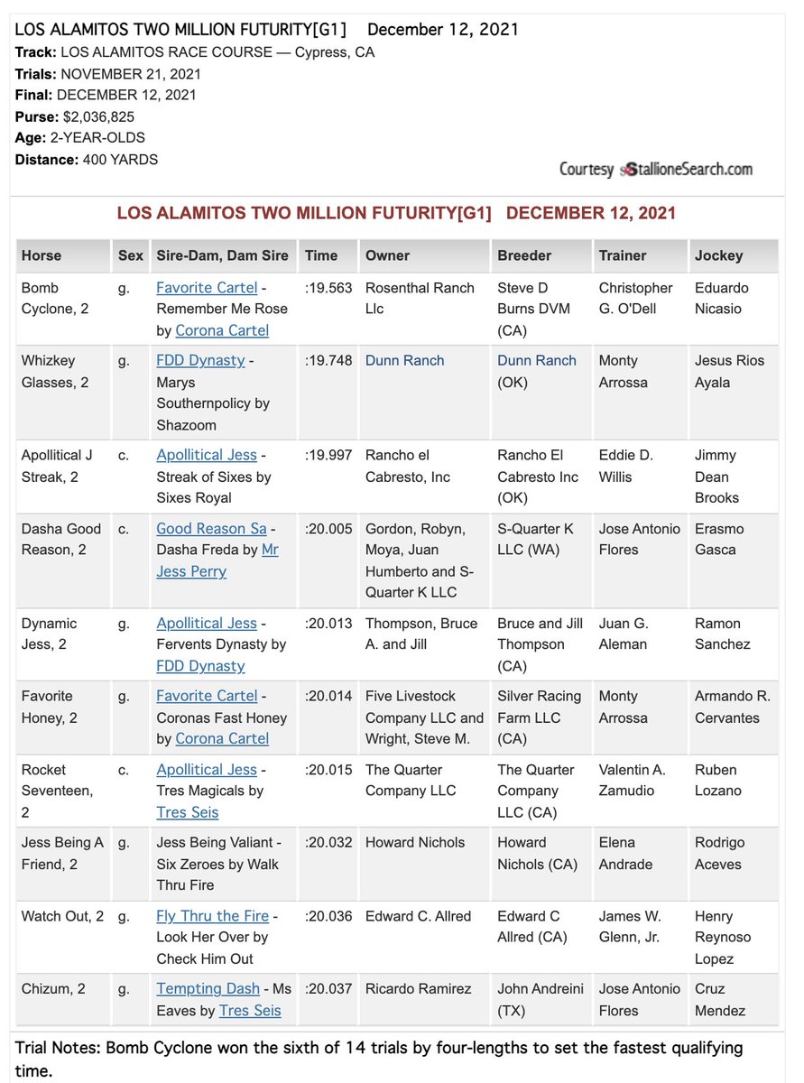 StallioneSearch tweet media