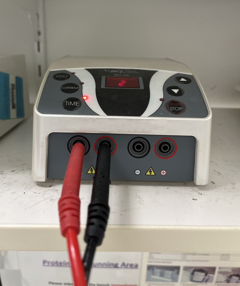 jess_nithi's tweet image. So, after a weeeeeee bit of time since I did some bench work, I’ve gotten back in the lab. 

After all the other steps, was feeling chuffed I’d timed my return back to check on the gel run … only 2 mins left until….🤦🏾‍♀️

#RookieMistake #NotTheFirstTime
#WhyPIsNeedRetrainingWheels