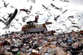 CamryDom's tweet photo. This is our earth now, please have pity on nature by not abusing it as raw resources and lets start segregating our garbage properly. #IamEarth https://t.co/NCytxphXtK