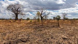 CamryDom's tweet photo. This is our earth now, please have pity on nature by not abusing it as raw resources and lets start segregating our garbage properly. #IamEarth https://t.co/NCytxphXtK