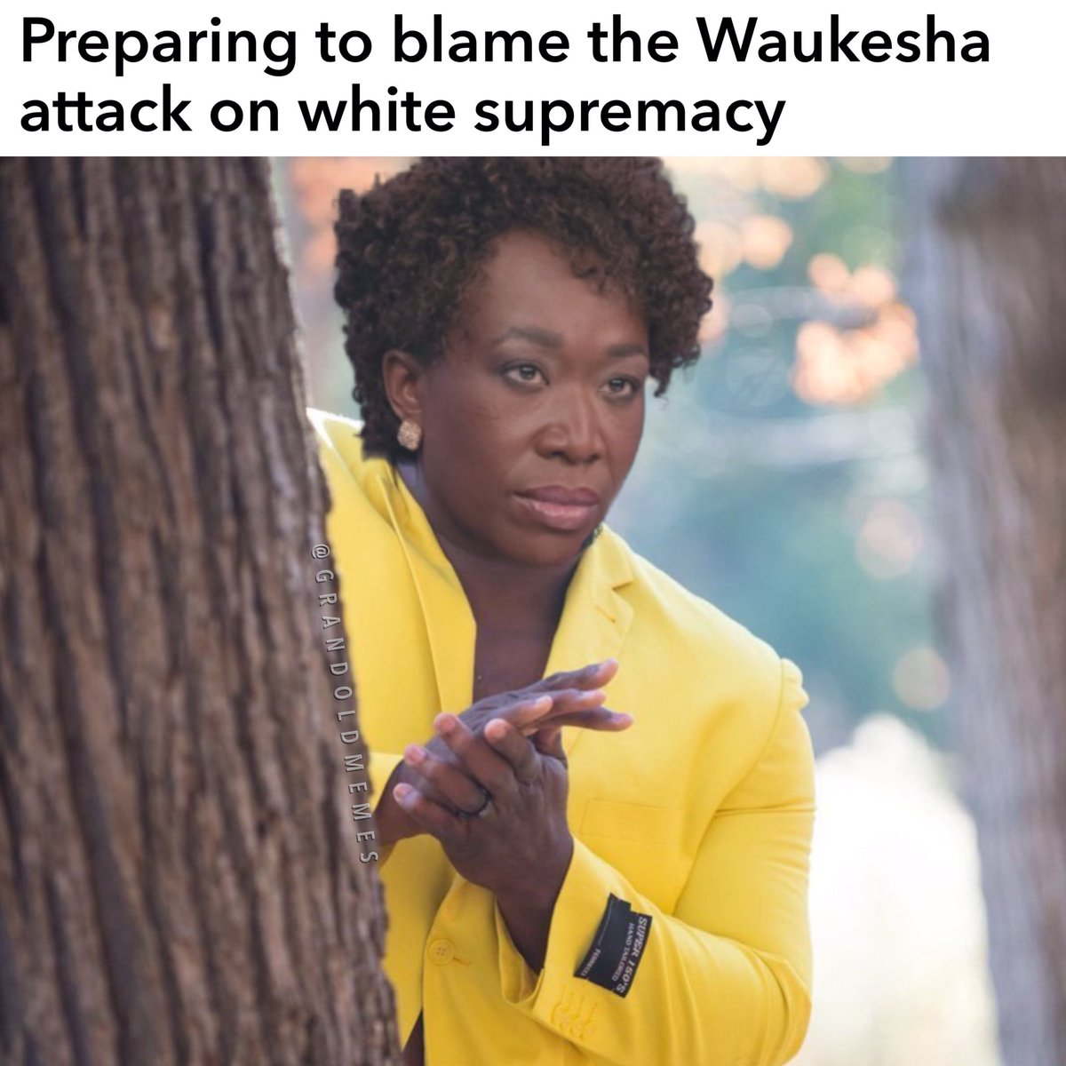 The Right To Bear Memes (@grandoldmemes) on Twitter photo 