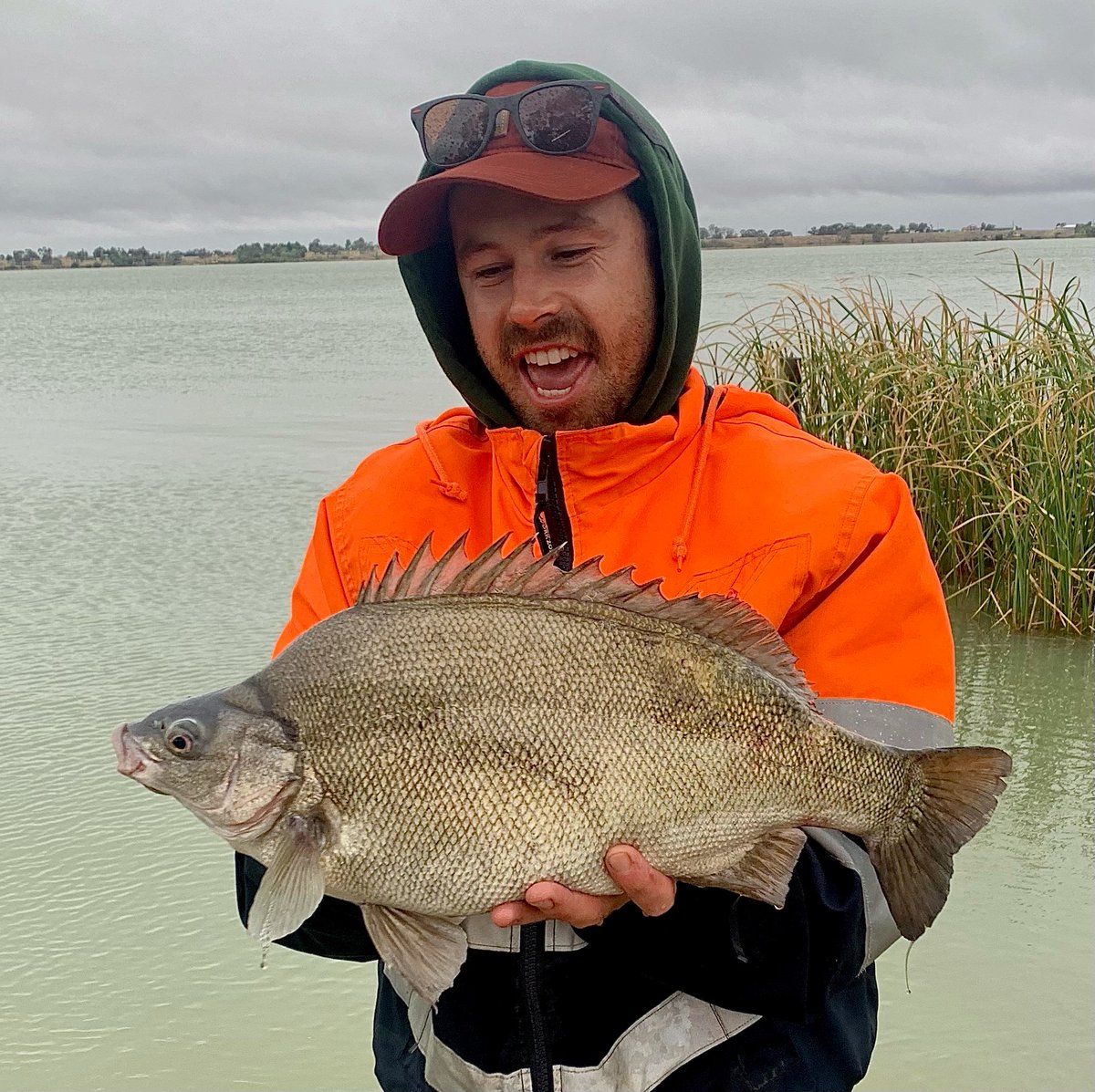 VicFisheries's tweet photo. A silver perch is worthy of a gold medal 🥇!
Zac caught this silver at Lake Charm drifting a worm from his kayak.
The lake is part of the Kerang Lakes system and our local Fisheries Officer Gary reckons it's the biggest he has seen.
#silverperch #fishinglicencefeesatwork https://t.co/4vOtCufVlT