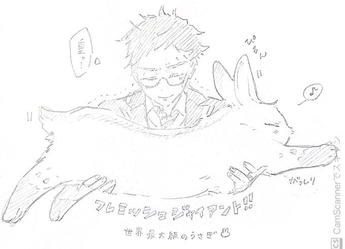 デカうさ 