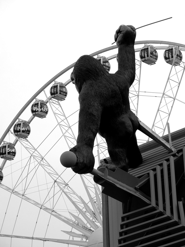 King Kong's after someone on the Niagara sky wheel.
by SuePetriPhotos.etsy.com

Buy a print, card or magnet here: etsy.com/ca/listing/113…

#blackandwhitephoto #KingKong #NiagaraSkywheelPhotos #CliftonHillPhotos #Photography #FineArtPhotography #PhotoGreetingCards #PhotoMagnets