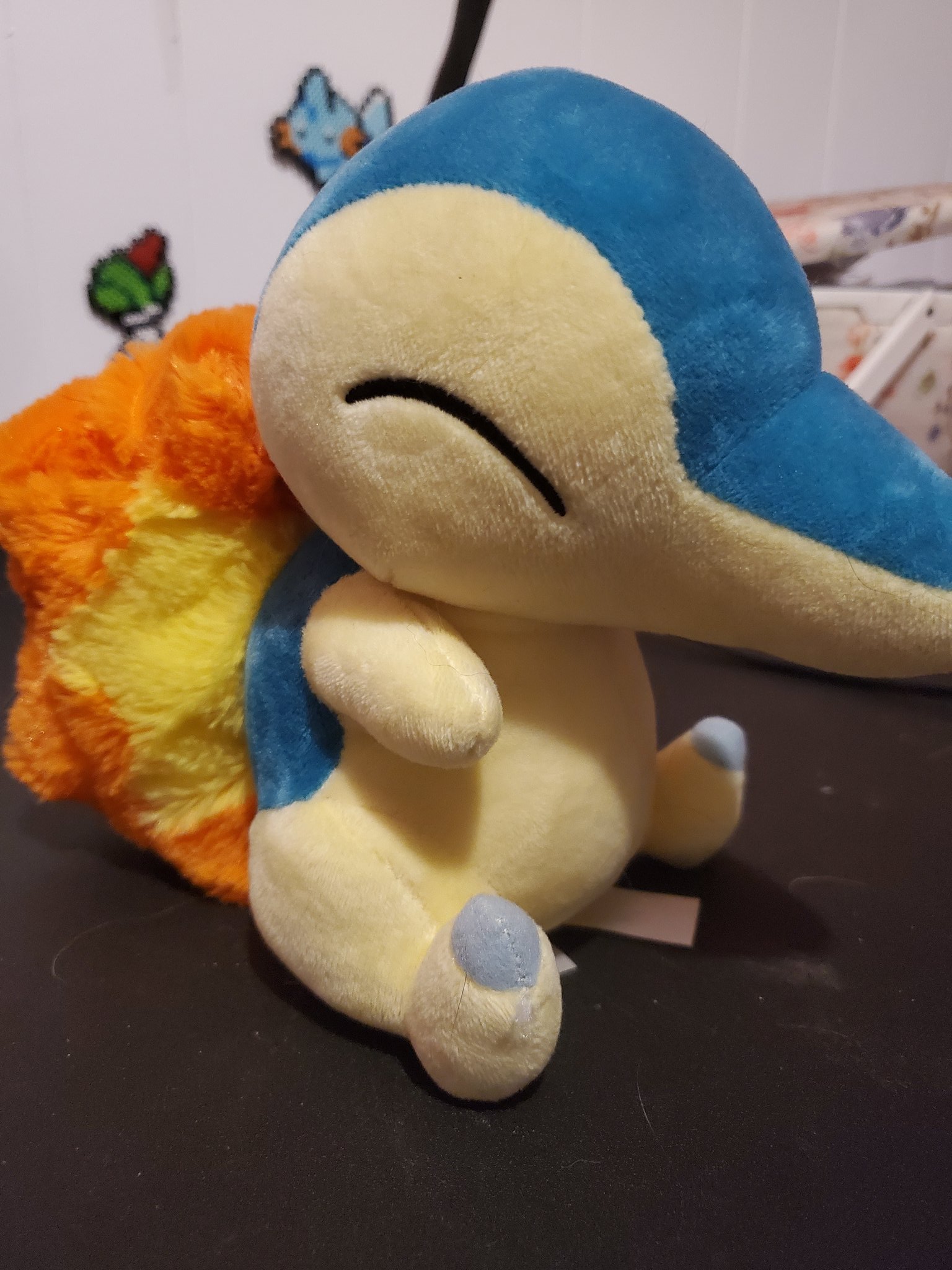Pokemon center store cyndaquil