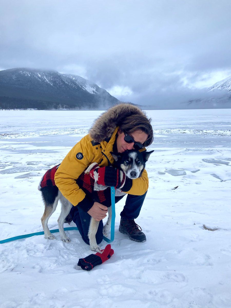 yukonhusky's tweet photo. Celebrating #NationalRedMittensDay in the Yukon! #ExploreCanada #ExploreYukon #redmittensday #BuffyTheHusky #TeamCanada https://t.co/IxCkt5HbYf