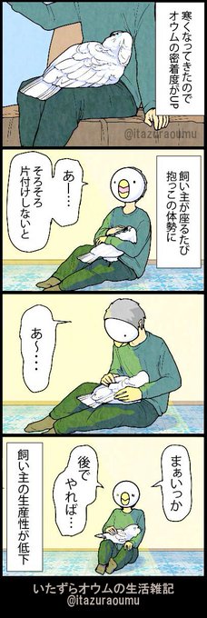 脚の上に乗られると中々動けません 
