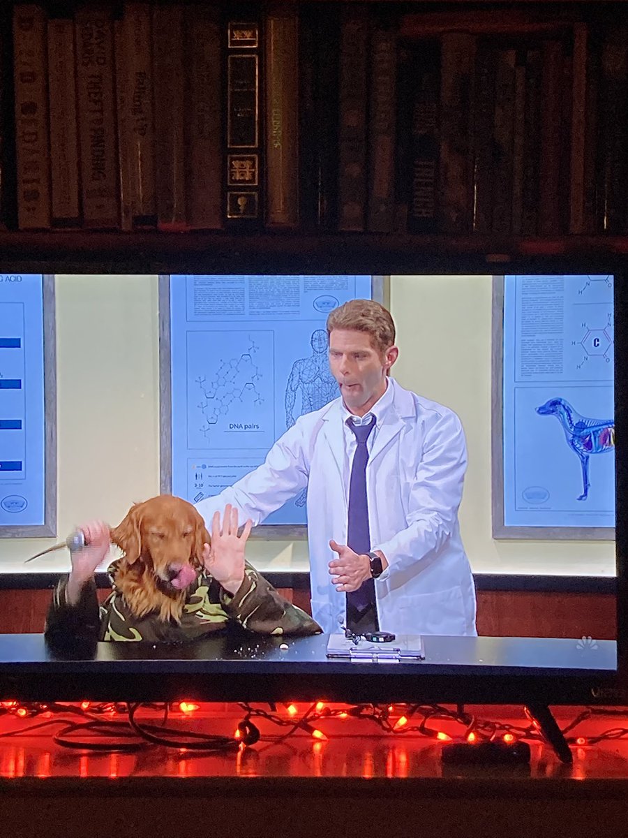 jokerdalton44's tweet photo. #DogHeadMan is brilliant. MORE OF THIS CONTENT @nbcsnl https://t.co/ANutqfzizV