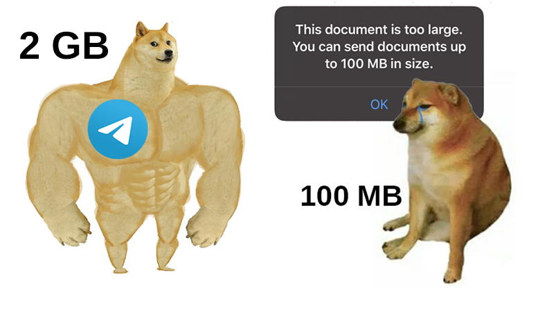 conspiracyb0t's tweet photo. Check out my telegram groups where we occasionally drop free ebooks, free shitcoins &amp; other gems too good for twitter

https://t.co/M2Efte1BlV
https://t.co/FvdCqUQo4q
https://t.co/dPoQX59Zzz
https://t.co/SBsVeTd9Vx
https://t.co/BKu8f9qqvN https://t.co/TzmgigutT3