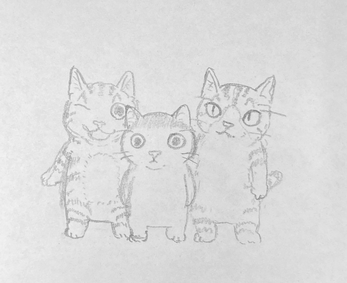 子猫3匹 