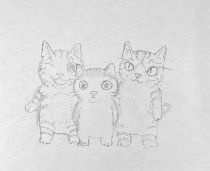 子猫3匹 