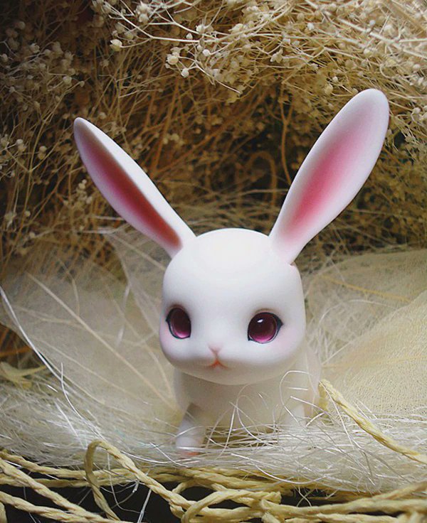 hourlybjd's tweet photo. bunny ! https://t.co/N16GjkEosK