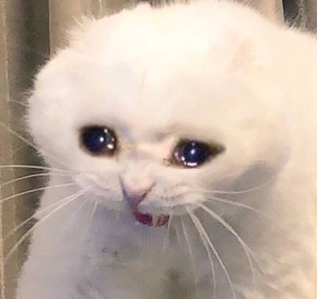 ptexx1's tweet photo. @Snip3down noooo fuck way :( https://t.co/dLOAD8rcWP
