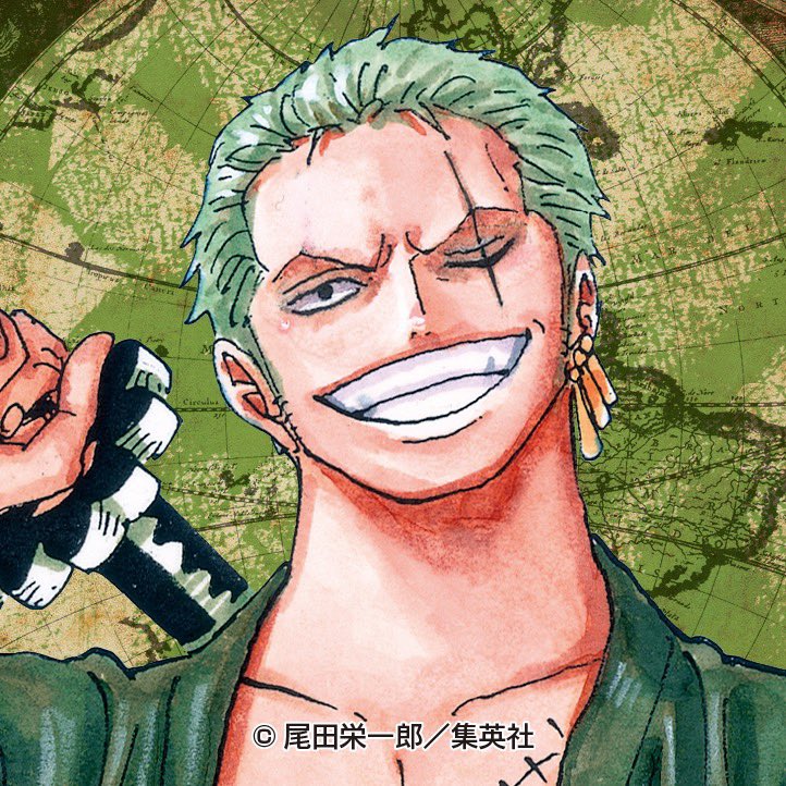 ワンピース ゾロが目の傷を負ったのは何話 失明した左目は鷹の目になってる アニモドラ