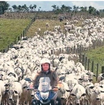 Desconcentr3's tweet photo. Essa questão só não é mais bosta pq só é uma, parabéns aii ohh
BOA SORTE #Enem2021 https://t.co/YRn0uC7emW