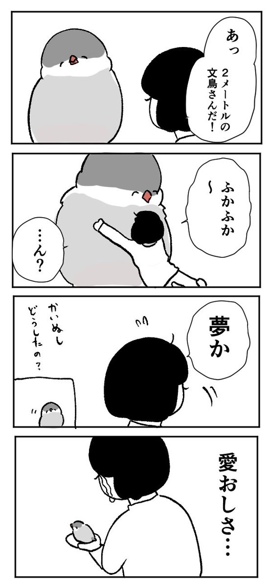 どんな文鳥さんでも大好きだよ 