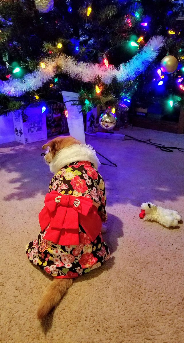 rampageghost's tweet photo. This is Pepper, our 12 year old sassy Jack Russell Terrier girl.  We got her a kimono from a previous trip to Japan and she's modeling it like a pro. She's still very spry for her age and also loves her comfy naps. #baecalliopetreview https://t.co/WZlgxw2Nv4