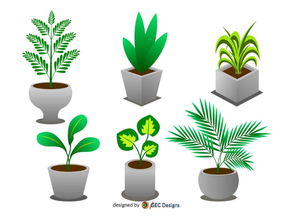 gectouch's tweet photo. Indoor potted plant isometric illustration
Check out: https://t.co/9ljWRzzBno
#isometric #illustration #business #webdesign #isometricimage #graphicsdesign #design #designinspiration #Illustrations #Designers #digitalillustration #freedownload https://t.co/CO6h3a7siU