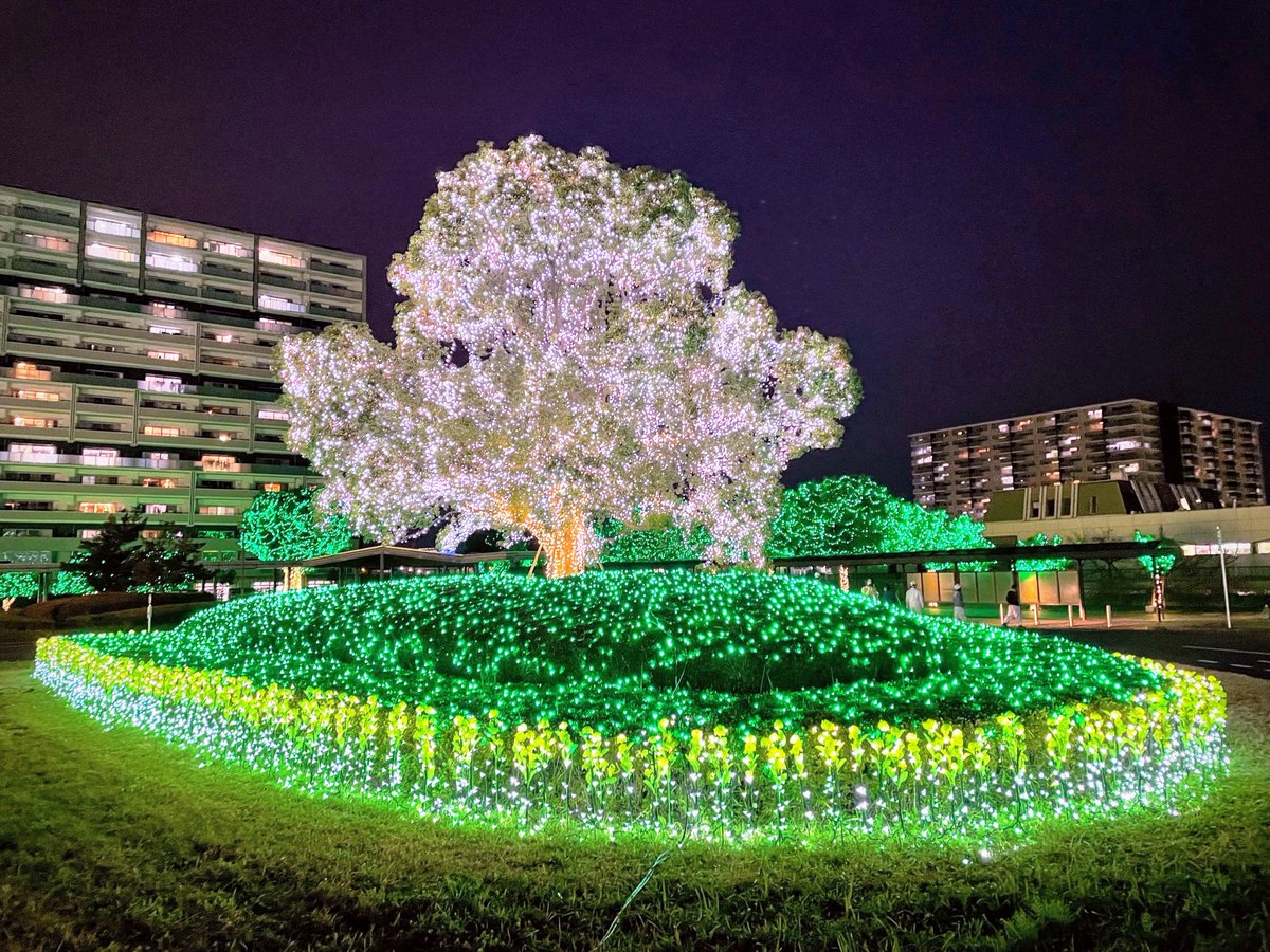 11/13～開催中✨ 中央駅周辺にて✨ ～自然との共生・幻想と夢の街へ～ 今年は規模が拡大し、合計50万球が町を彩る です。 ▼詳細はこちら https://t.co/wzUbfLeDK4