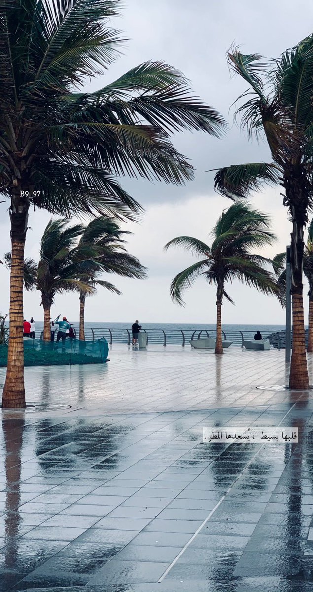 Kareem (@henkel20161) on Twitter photo 