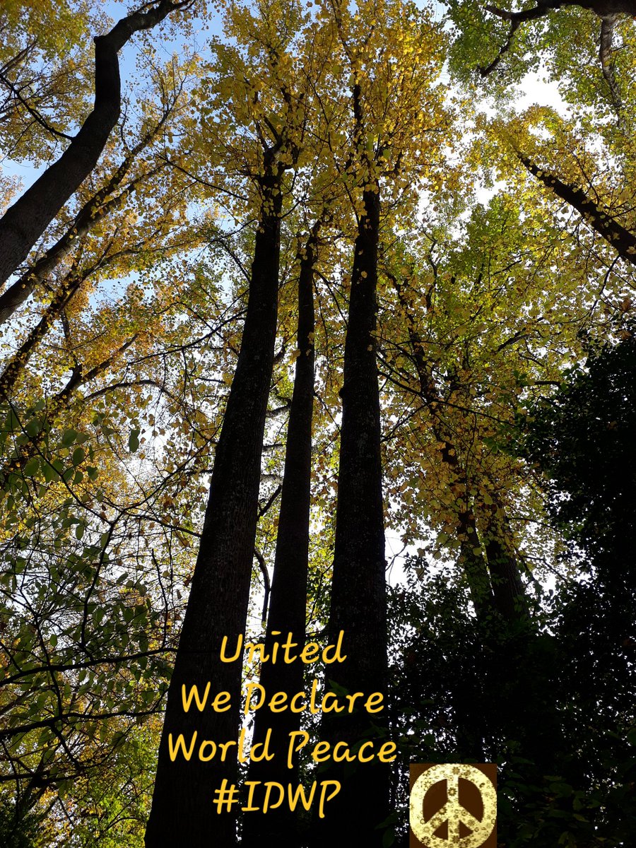 CherishTheEarth's tweet photo. #Unity
#IDWP
#Namaste
#IAmChoosingLove
#JoyTrain
#SovereignPeace
#ClimateAction
Cherish The Earth https://t.co/O7uZ8n2ap6