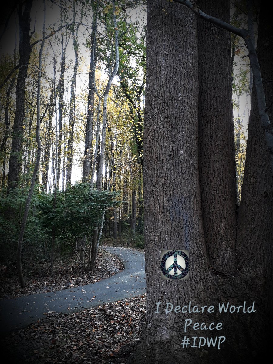 CherishTheEarth's tweet photo. #IDWP
#IAmChoosingLove
#JoyTrain
#Namaste
#SovereignPeace
#ClimateAction
#Unity
#HumanRights
Cherish The Earth https://t.co/bjEEDJkwhg