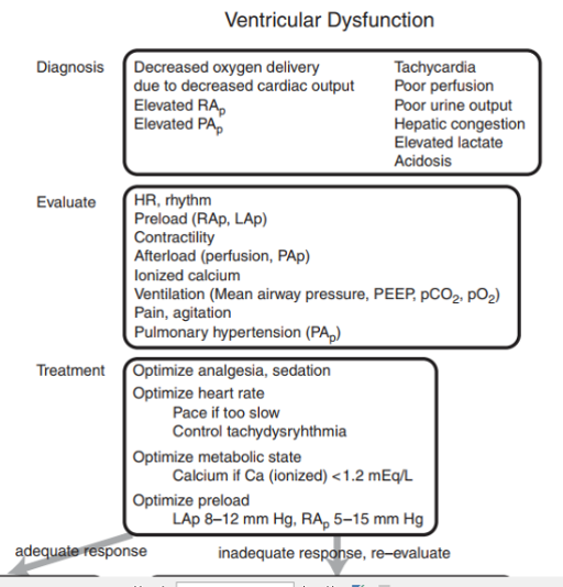 CardioCaribeMx's tweet photo. #Algoritmo según Nichols:
#Disfunción #Ventricular en el #PostQx de cardiopatías Congénitas

Diagnóstico -> Evaluación -> Tratamiento
#Inotrópicos: Dopamina -> milrinona -> Epinefrina

Critical heart disease in infants and children – Nichols DG

#CHD #BacktoBasics https://t.co/TcFmuiZHT0