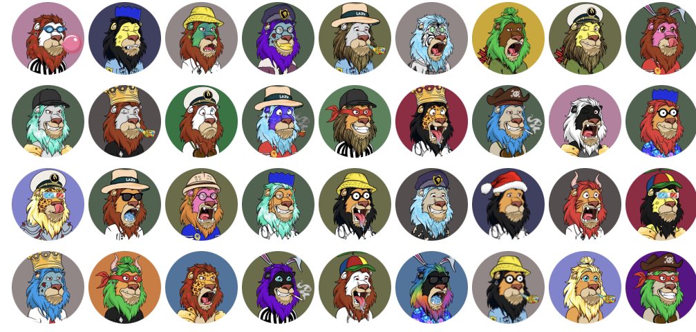 LOUDMOUTH_ETH's tweet photo. @AnimalNfts @LazyLionsNFT @LazyLionsNFT and then I would take a look 👀 at the @LazyLionsNFT and then also do some research on this project that is absolutely killing it called @LazyLionsNFT #roar #king https://t.co/ADEIRw12yy