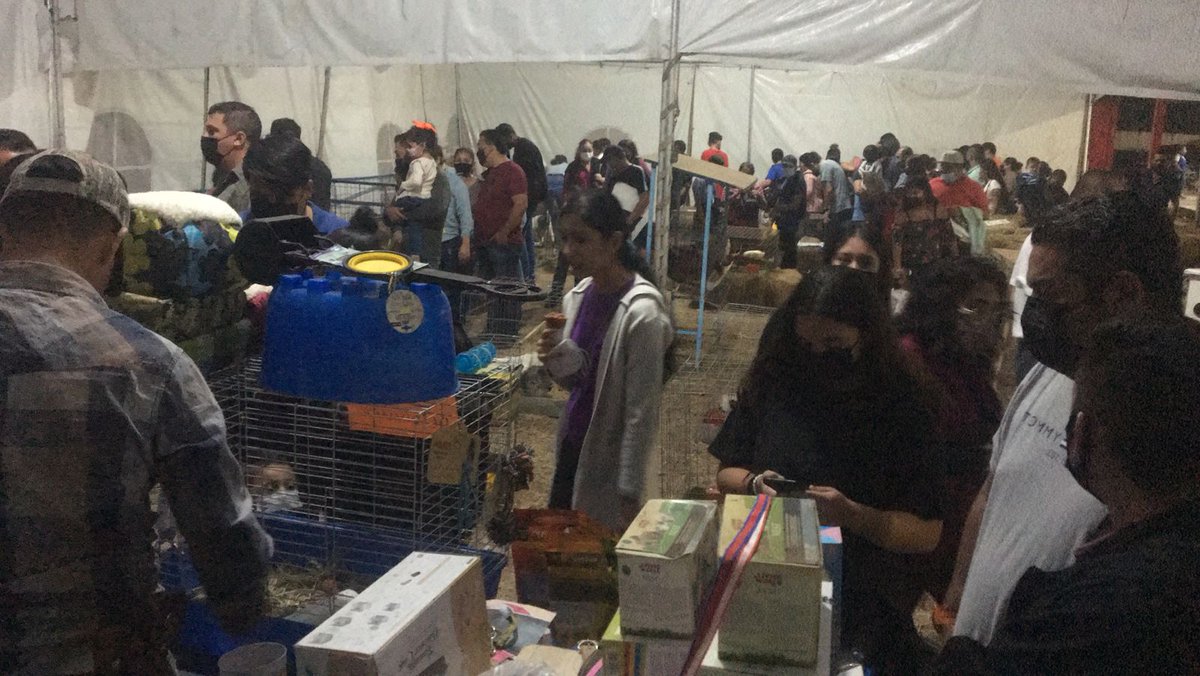 RuralTam_mx's tweet photo. Así luce la Granja Interactiva en este último día.
Ven y visítanos; llevamos acabo los protocolos sanitarios para tu seguridad.
¡Te esperamos para que interactúes con los animalitos!
#CuidándonosLaFiestaLaHacemosTodos
#RuralTam https://t.co/rW21fTZmOz