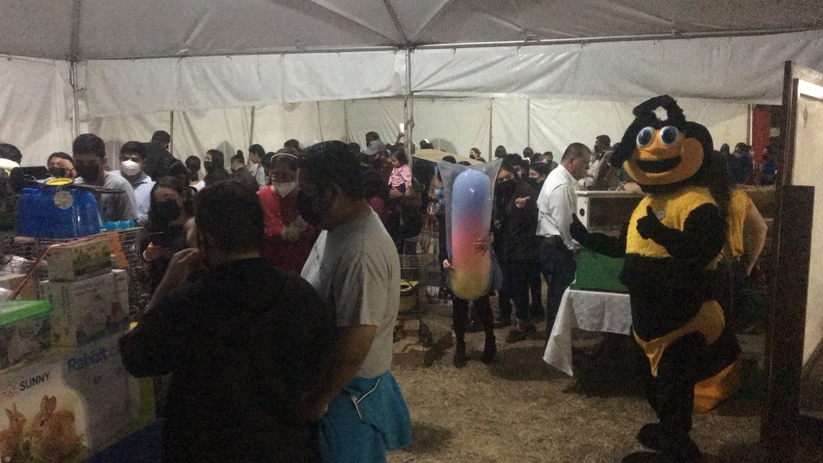 RuralTam_mx's tweet photo. Así luce la Granja Interactiva en este último día.
Ven y visítanos; llevamos acabo los protocolos sanitarios para tu seguridad.
¡Te esperamos para que interactúes con los animalitos!
#CuidándonosLaFiestaLaHacemosTodos
#RuralTam https://t.co/rW21fTZmOz