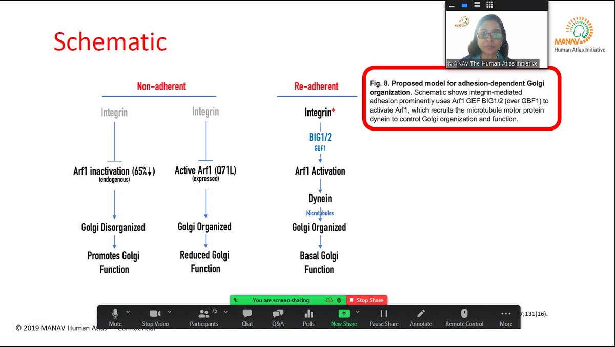 Manav - The Human Atlas Initiative tweet media